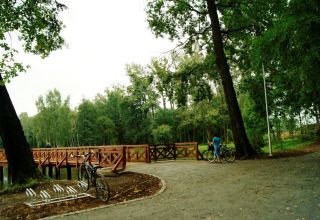 Zagospodarowanie parku i stawów w Chróścinie
