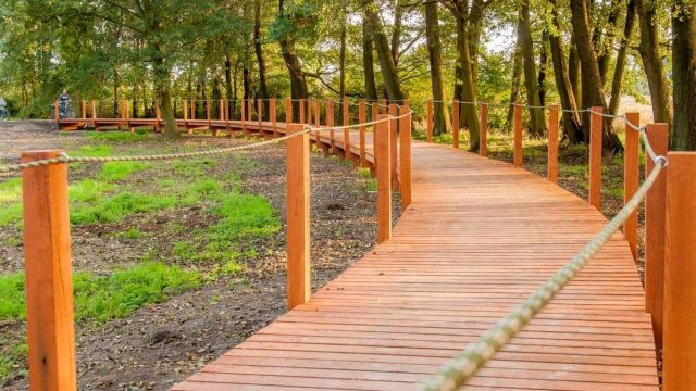 Zagospodarowanie parku i stawów w Chróścinie