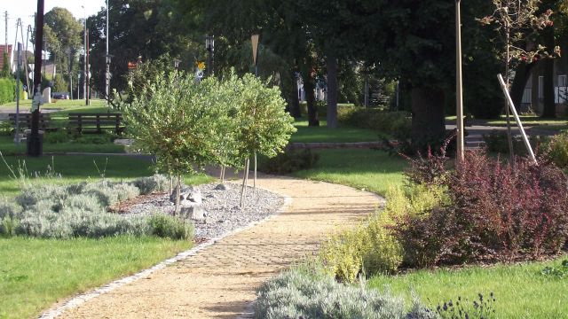 Zagospodarowanie terenu centrum wsi Stare Siołkowice