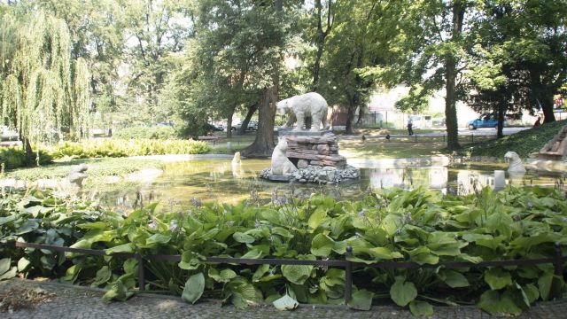 Rewaloryzacja Parku Miejskiego w Głubczycach