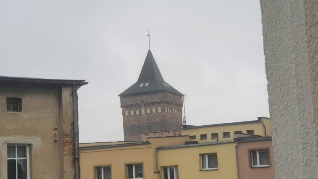 umowa Biała