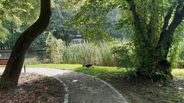 Park Ośrodka Leczenia Odwykowego w Woskowicach Małych Najlepsza Przestrzeń Publiczna Województwa Opolskiego