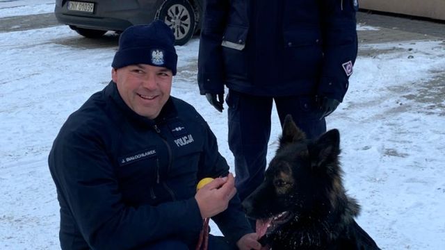 Pies dla policji