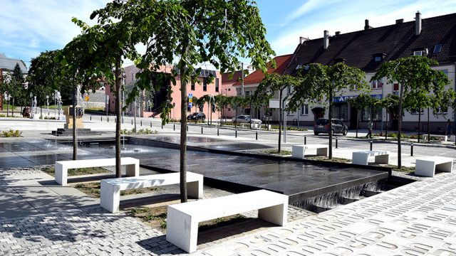 Rynek 100 drzew