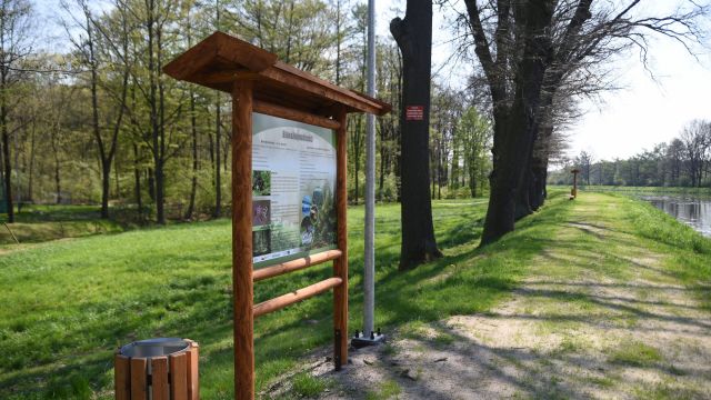 Ochrona różnorodności biologicznej na terenie gminy Kluczbork