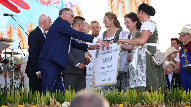 Korony żniwne
