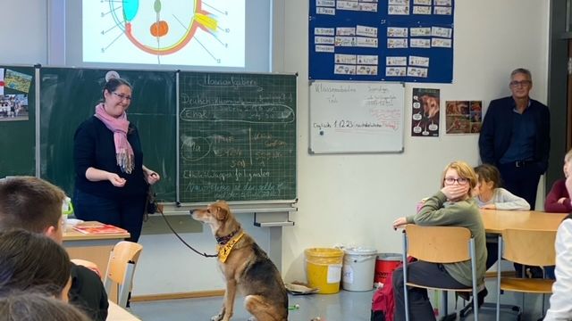 Edukacja w Nadrenii Paltynacie