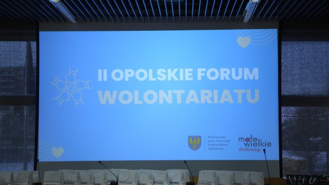 Wolontariat