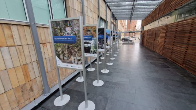 Wystawa polsko-czeska