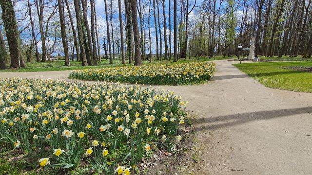 Otwarcie parku w Pokoju
