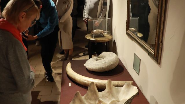 Wernisaż wystawy jubileuszowej z okazji 125-lecia MŚO