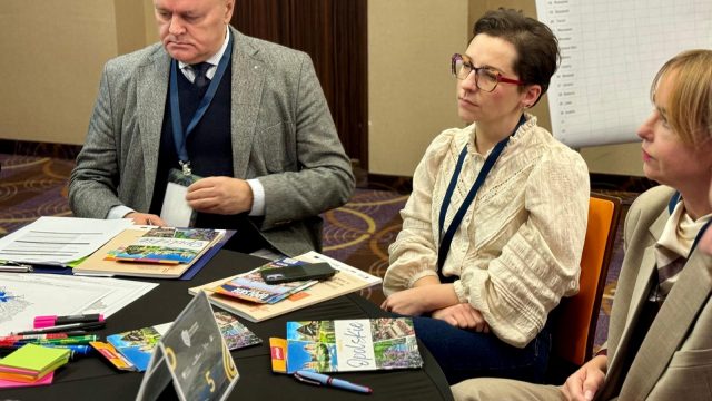 Konsultacje CPK