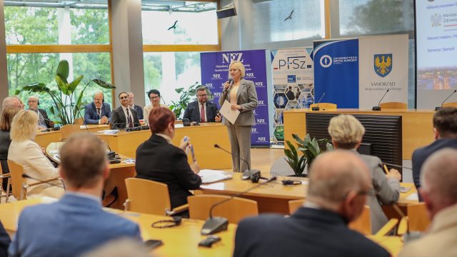 Szczyt polsko-czeski