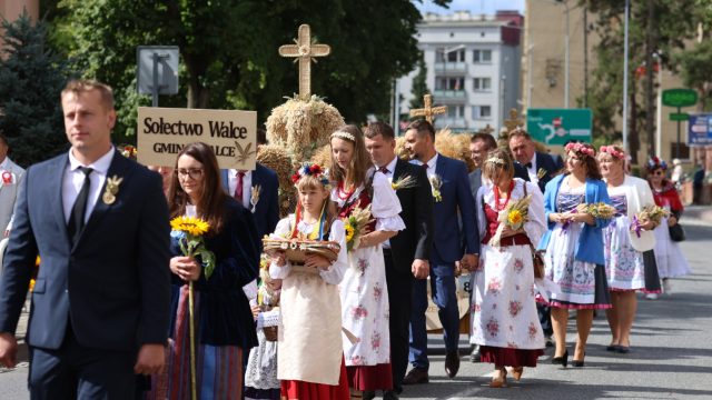 dożynki wojewódzkie